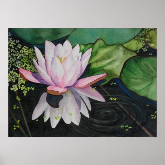 Zen Lilly Poster (Vorne)
