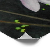 Zen Lilly Poster (Ecke)