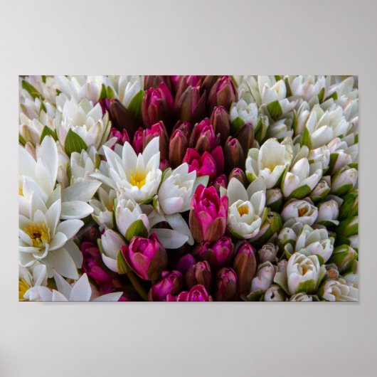 Zen Lotus Blume Bouquet Poster (Vorne)