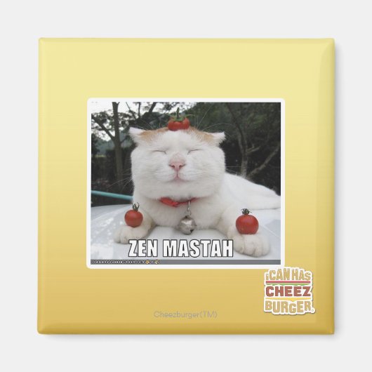 Zen Mastah Magnet (Vorne)