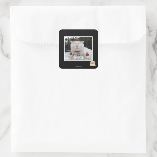 Zen Mastah Quadratischer Aufkleber (Tasche)