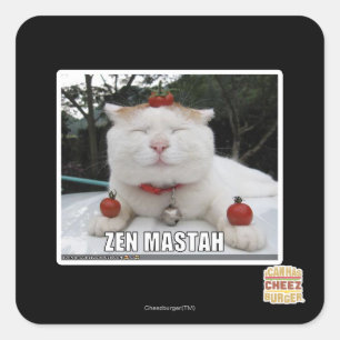 Zen Mastah Quadratischer Aufkleber