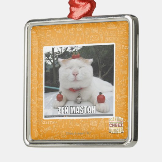 Zen Mastah Silbernes Ornament (Links)