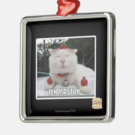 Zen Mastah Silbernes Ornament (Links)