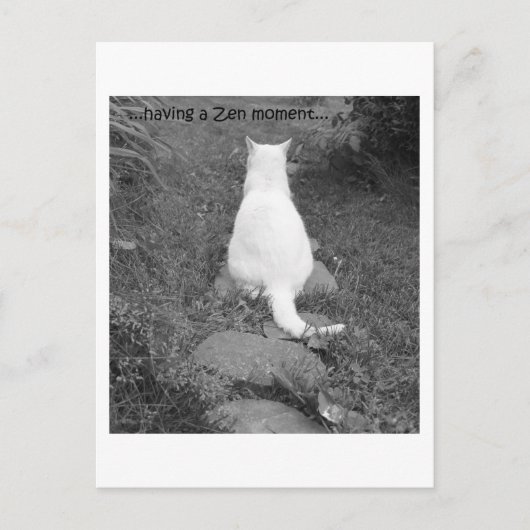 Zen-Moment Postkarte (Vorderseite)