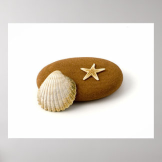 Zen Nature Sea Muschel Starfish Pebble Poster