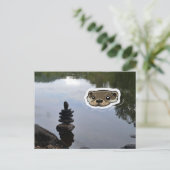 Zen Otter (Farbe) Postkarte (Stehend Vorderseite)
