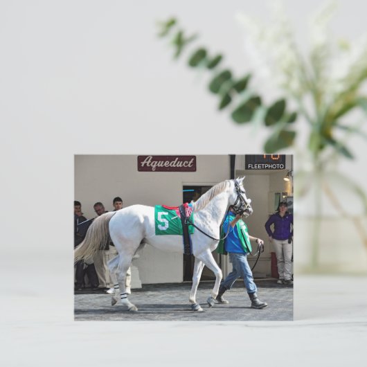 Zen Papa Postkarte (Stehend Vorderseite)