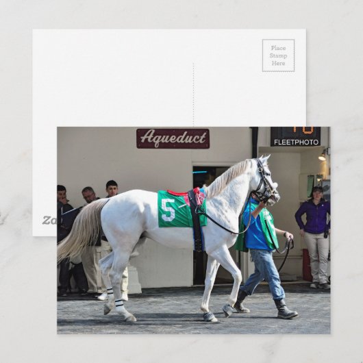 Zen Papa Postkarte (Vorne/Hinten)