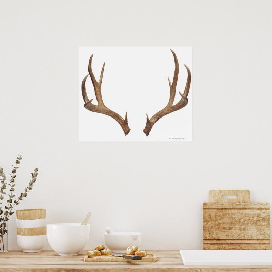 Zen Point Deer Poster (Küche)