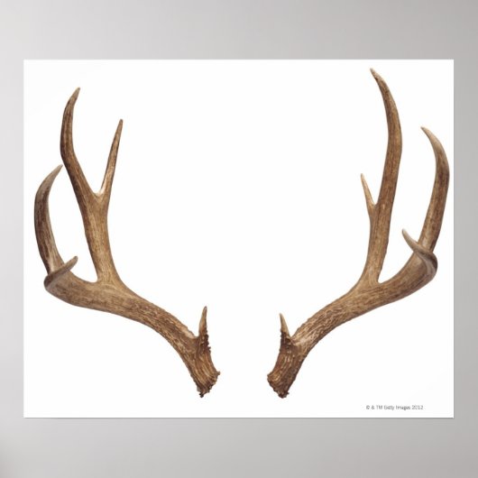 Zen Point Deer Poster (Vorne)