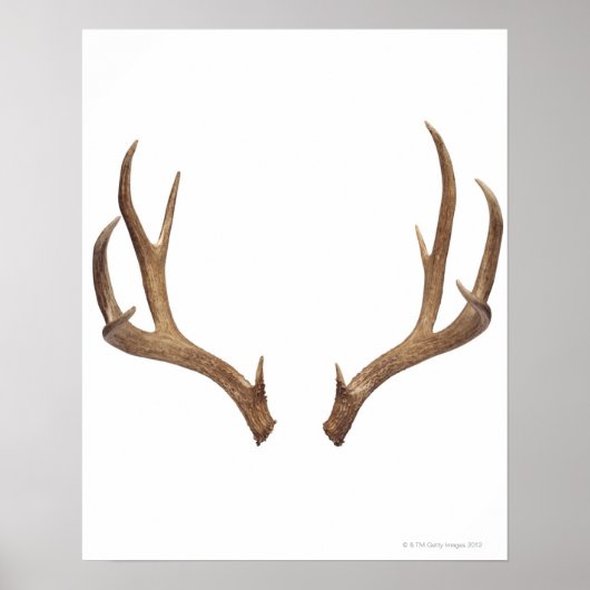 Zen Point Deer Poster (Vorne)