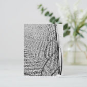 Zen Postcard Postkarte (Stehend Vorderseite)