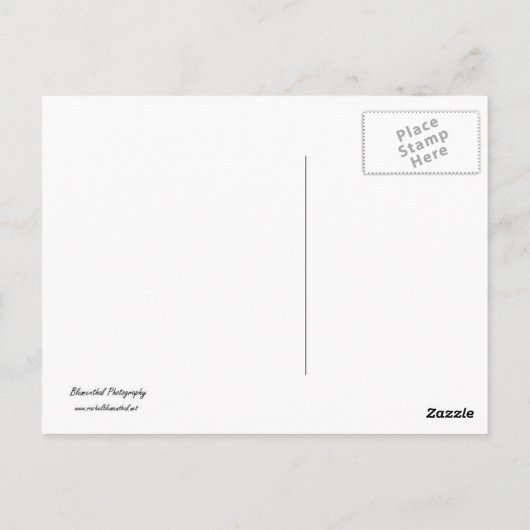 Zen Postcard Postkarte (Rückseite)