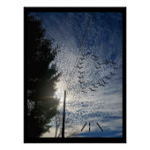 ZEN POSTER (Vorderseite)