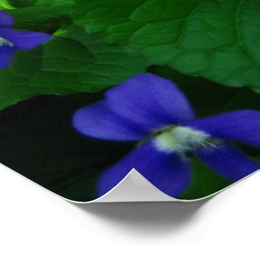 Zen Proverb Quote Poster (Ecke)