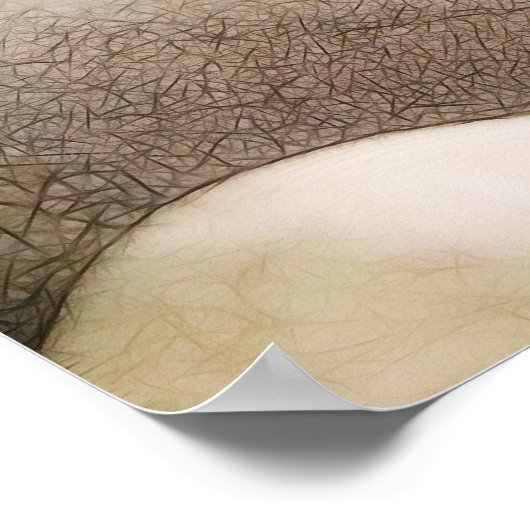 Zen Rock Garden Poster (Ecke)