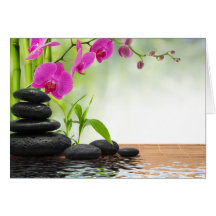 Zen,Ruhe,rosa Orchidee,schön,Wellness-Center,Heilu