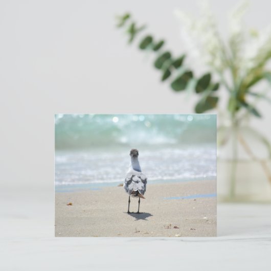 Zen Seagull bei Beach Fotografy Postkarte (Stehend Vorderseite)