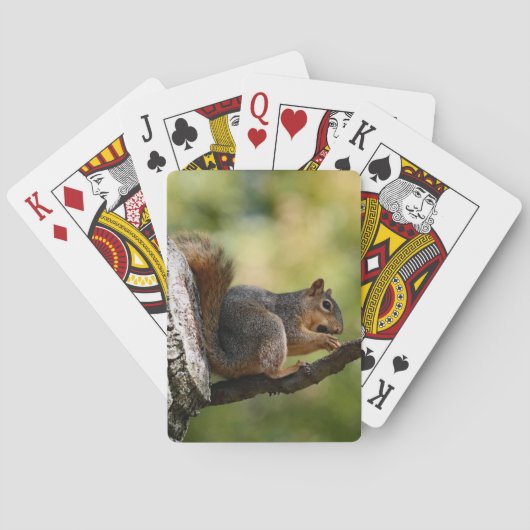 Zen Spielkarten (Rückseite)