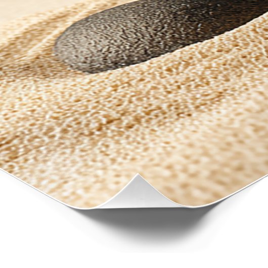 Zen Stone Stack - Minimal Japandi Wall Art Print Poster (Ecke)