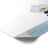 Zen Stones White Orchid Poster (Ecke)