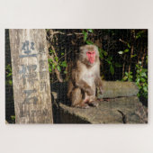 Zen-Tempel Monkey Arashiyama Kyoto Japan Puzzle (Horizontal)