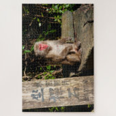 Zen-Tempel Monkey Arashiyama Kyoto Japan Puzzle (Vertikal)