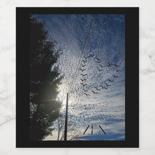 ZEN WEINETIKETT (Einzelnes Label)