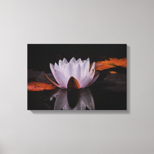 Zen White Lotus Blume Leinwanddruck (Vorderseite)