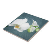Zen White Orchid Blume Fliese (Seite)