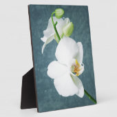 Zen White Orchid Blume Fotoplatte (Seite)