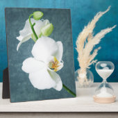 Zen White Orchid Blume Fotoplatte (Seite)