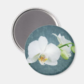 Zen White Orchid Blume Magnet (Vorderseite/Rückseite)