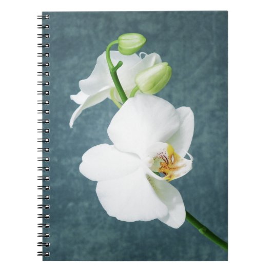 Zen White Orchid Blume Notizblock (Vorderseite)