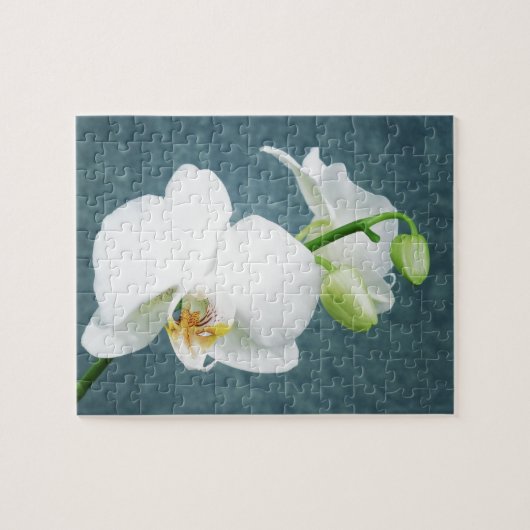Zen White Orchid Blume Puzzle (Horizontal)