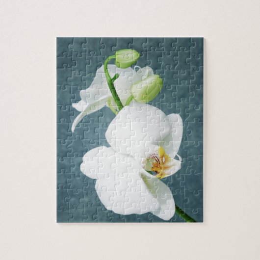 Zen White Orchid Blume Puzzle (Vertikal)