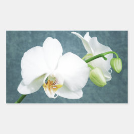 Zen White Orchid Blume Rechteckiger Aufkleber