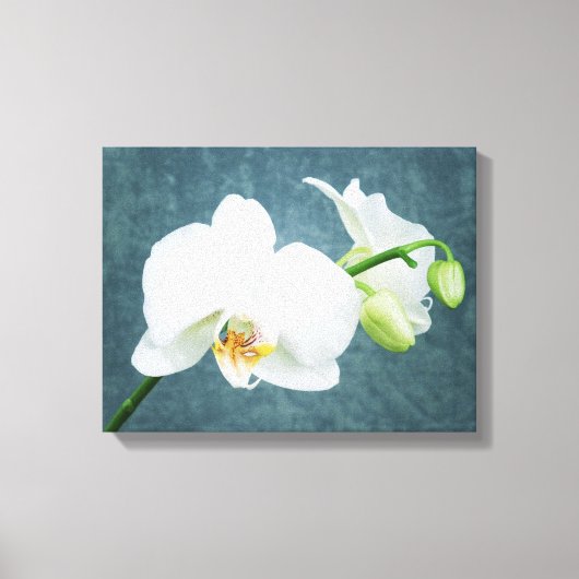Zen White Orchid Leinwanddruck (Vorderseite)