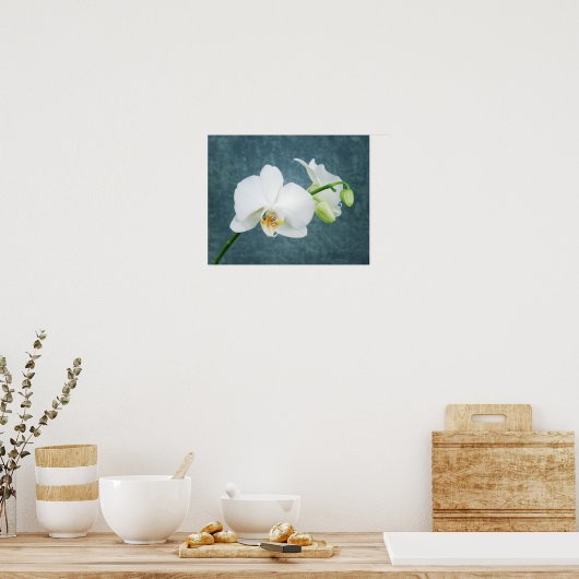 Zen White Orchid Poster (Küche)