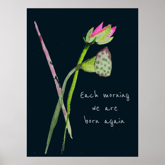 Zen Zitat geboren wieder rosa lotus inspirierend Poster (Vorne)