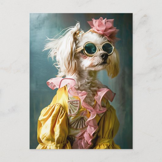 Zena Maltese Postkarte (Vorderseite)