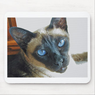 ZenaLrg_7_20_05_edited-1 Mousepad