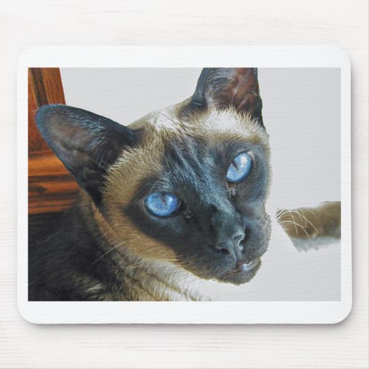 ZenaLrg_7_20_05_edited-1 Mousepad (Vorne)