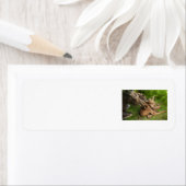 Zender Mother Moose (Insitu)