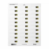 Zender Mother Moose (Vorne)