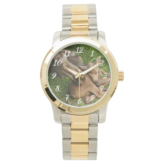 Zender Mother Moose Armbanduhr (Vorderseite)