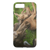 Zender Mother Moose Case-Mate iPhone Hülle (Rückseite)