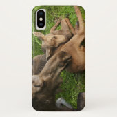 Zender Mother Moose Case-Mate iPhone Hülle (Rückseite)