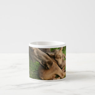Zender Mother Moose Espressotasse